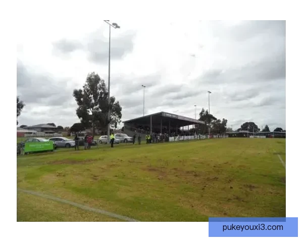 丹德农青年队主场遭遇惨败南墨尔本青年队大比分取胜